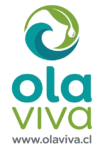 Ola Viva